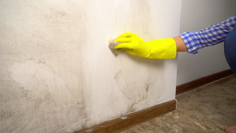 Best Attic Mold Removal  in Sutherlin, OR